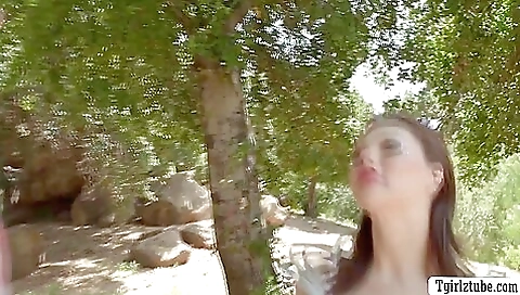 Brunette babe with big ass gets her ass fucked hard